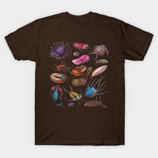 Trilobites T-Shirt